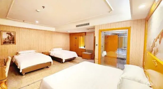 Трёхместный люкс Deluxe Vienna Hotel (Beijing Songzhuang Anzhen Hospital Branch)