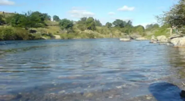 Los Arbolitos Cabañas y Aparts