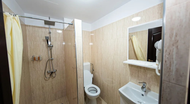 Двухместный номер Standard Casa Câmpulungeană