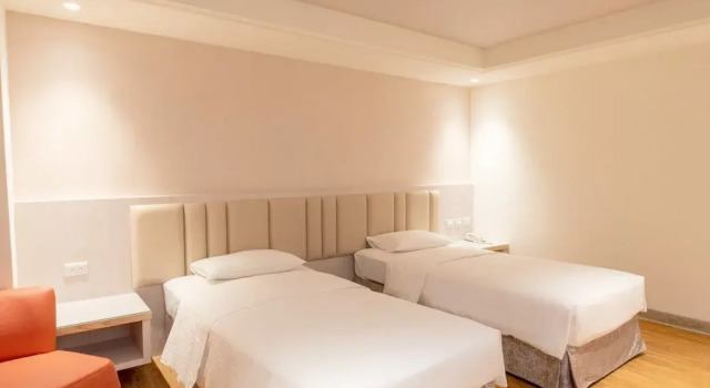 Business- dobbelt værelse The Young Hotel