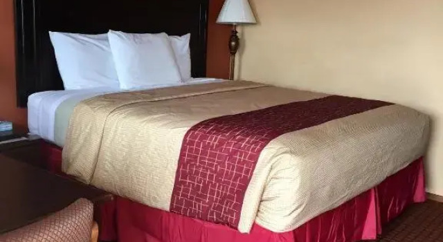Одноместный номер Standard DeQueen Courtyard Inn