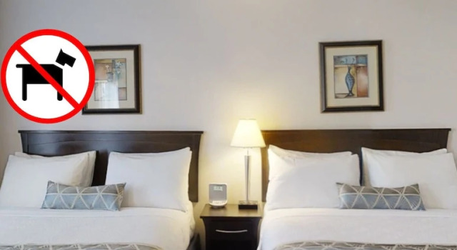 Четырёхместный номер Standard Dilworth Inn Kelowna