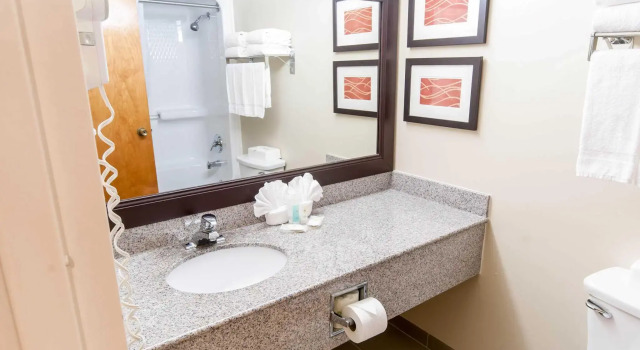 Номер Standard Comfort Inn Quantico