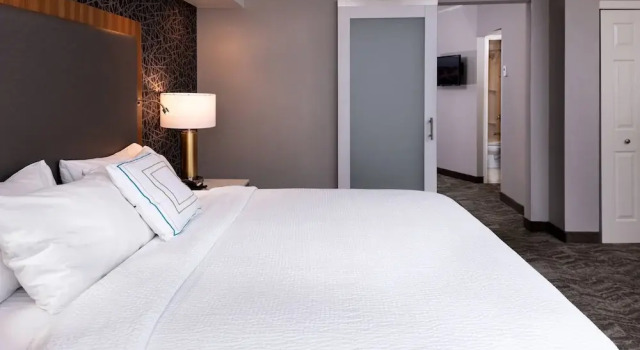 Люкс Executive c 1 комнатой SpringHill Suites by Marriott Pittsburgh North Shore