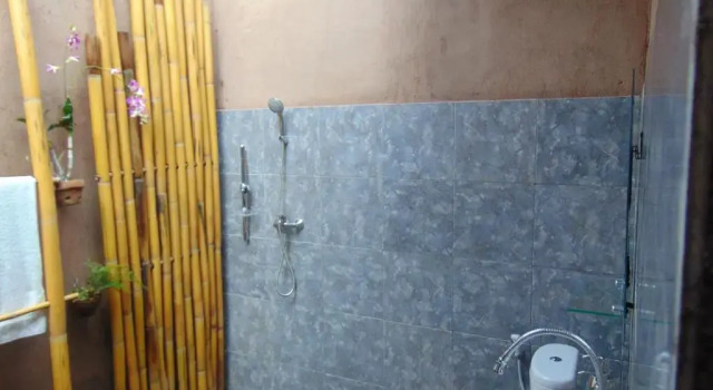 Номер Deluxe Amartya Puri Green Cottages