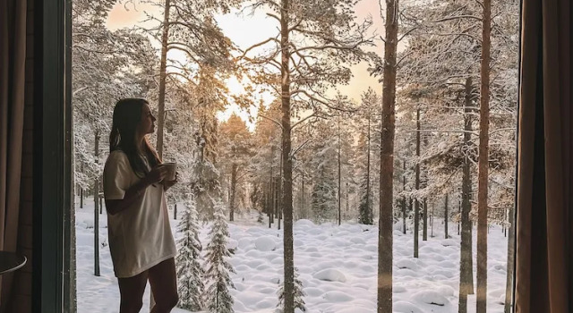 Invisible Forest Lodge, Buchen Sie Hotel Hotels in Lappland mit Parkplatz, Parkplätze