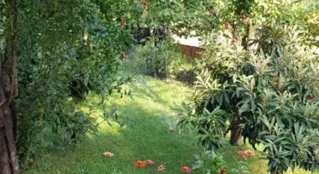 Wooden Cottages - Mtskheta, Rezervovat Hotel Mccheta Mtkheta-Mtianeti