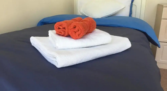 Одноместный номер Standard с видом на парк Nice and private rooms