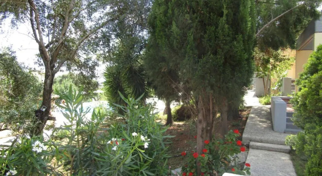 Бунгало Barbati Beach - Villa Zante