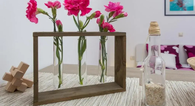 Студия Apartments Banjska