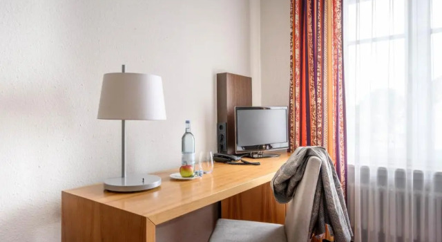 Одноместный номер Hotel Maier