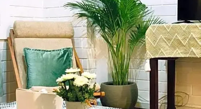 Люкс The Nest Chiangmai