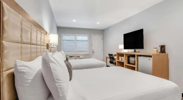Четырёхместный номер Standard Sather Berkeley - SureStay Collection by Best Western