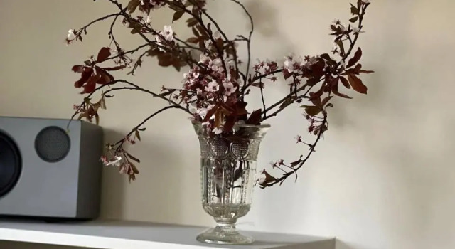 Студия Boath House Hotel