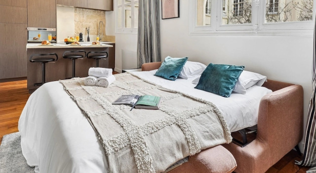 Elegant 1BR near Notre-Dame Cathedral