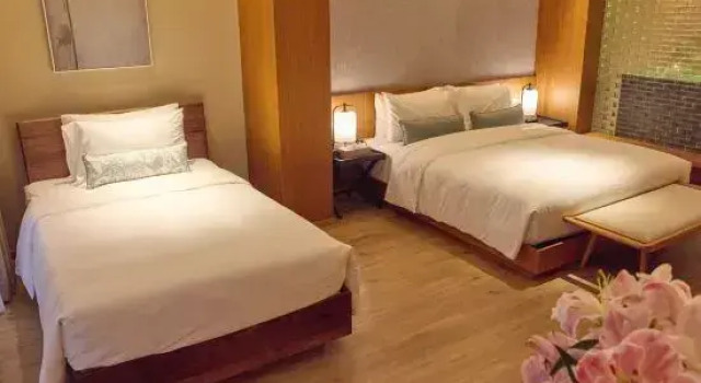 Люкс Nankunshan Pera Manor Pella Villa