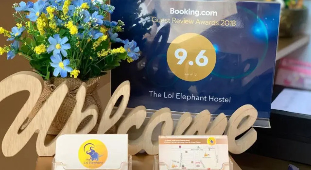 Кровать в общем номере The LOL Elephant Hostel