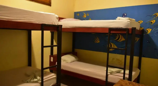 Четырёхместный номер Standard Costa Linda Art Hostel