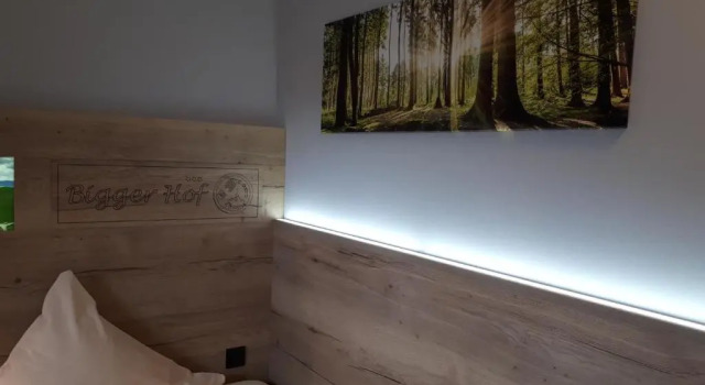 Номер Deluxe Hotel Bigger Hof - Wirtshaus Platzhirsch am Jahnplatz