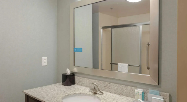 Двухместный номер Standard Hampton Inn and Suites Adairsville/Calhoun Area