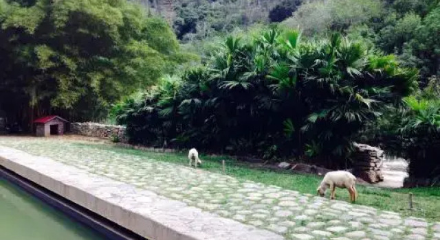 Malu del Rio-Termales, Reservar Hotel Hotéis em Cundinamarca com estacionamento, Estacionamento