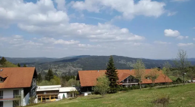 Апартаменты 2 Zimmer Mitterdorf