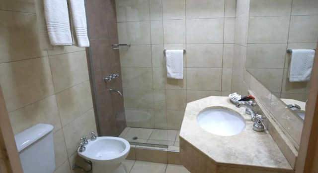 Двухместный номер Standard Ritz Hotel Mendoza
