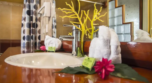 Номер Deluxe Hotel Rancho Corcovado