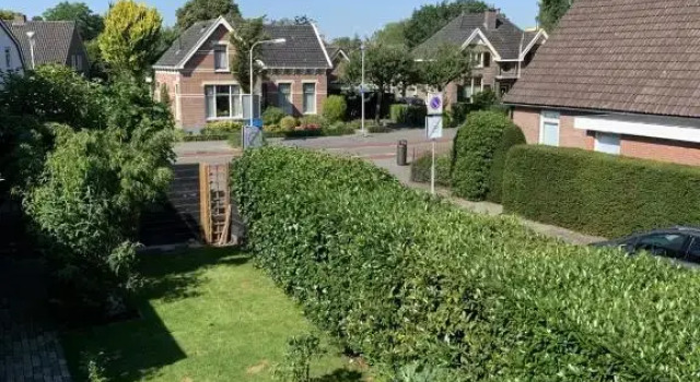 City Guesthouse, Boek Hotel Hotels in Salland met zwembad, Zwembad