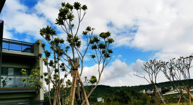 Kenting Gala Vineyard, Prenota Bed & breakfast Hotel a Pingtung County con parcheggio, Parcheggio