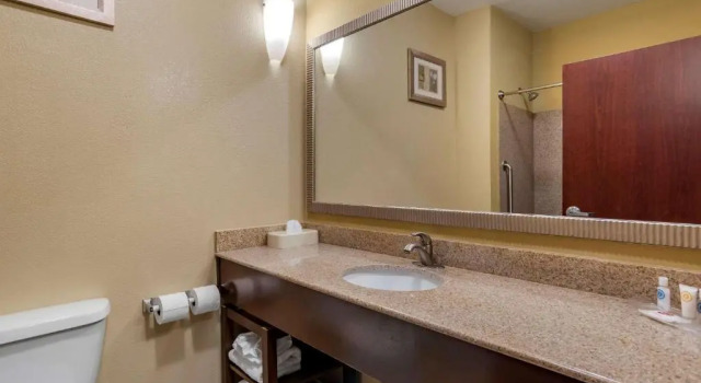 Четырёхместный номер Standard Comfort Suites Airport South