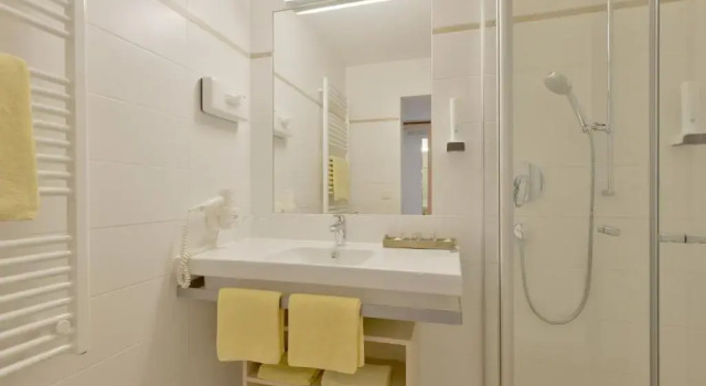 Двухместный номер Standard Hotel Mesnerwirt - Zentrumslage