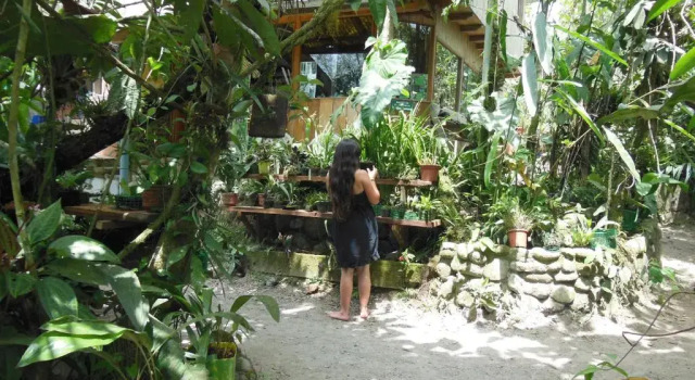 Номер Economy Cabañas Armonía y Jardín de Orquídeas