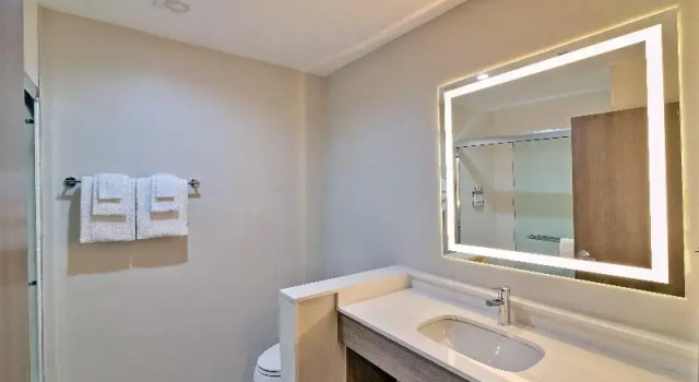 Четырёхместный люкс Holiday Inn Express & Suites Diamond