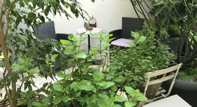 Апартаменты Ferienwohnung City-Apartment Swifts Krefeld
