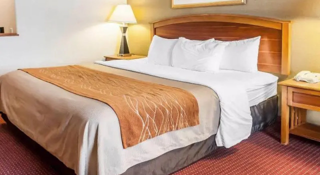 Номер Standard Comfort Inn & Suites I-25 Near Spaceport America