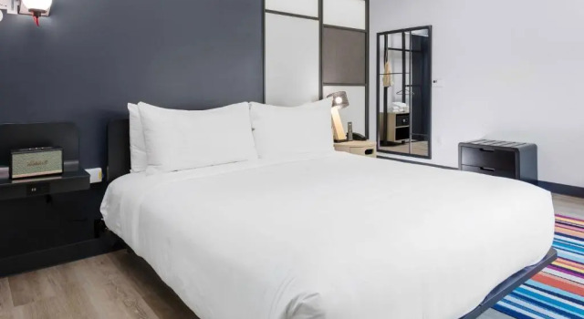 Номер Standard Aloft by Marriott Orlando Lake Buena Vista