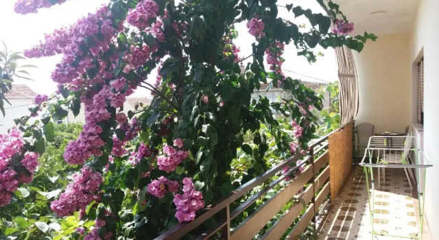 Апартаменты Apartment Green oasis by the sea