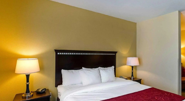 Люкс Comfort Suites University