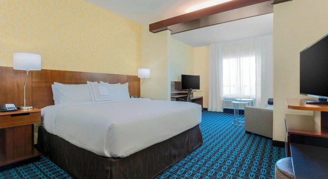 Двухместный люкс Fairfield Inn & Suites by Marriott Decatur at Decatur Conference Center