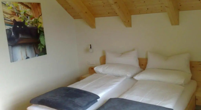 Апартаменты c 1 комнатой Landhaus Knödl-Alm