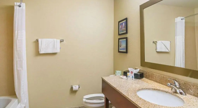 Люкс Comfort Suites Grayslake near Libertyville North