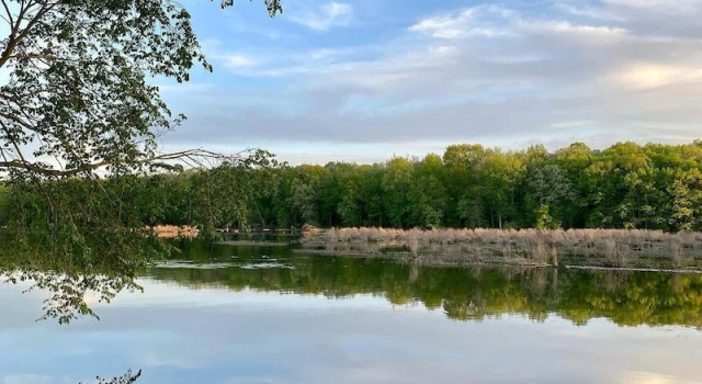 Коттедж Цокольный этаж c 1 комнатой The Sanctuary On Huron River