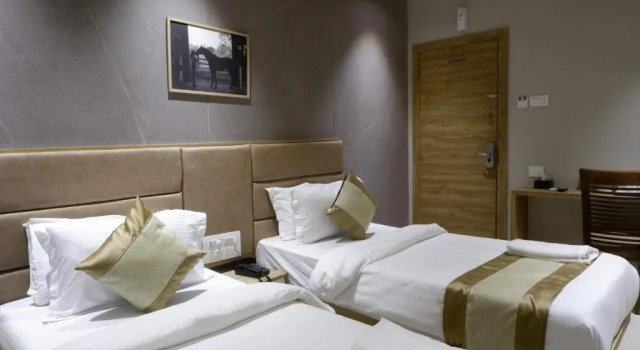 Двухместный номер Deluxe HOTEL AMBER PARAMOUNT