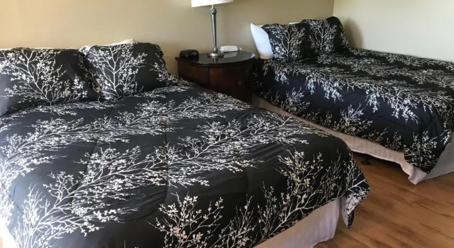 Двухместный номер Standard White Birches Motel