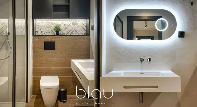Двухместная студия Premium BLAU Student Housing & Language Academy