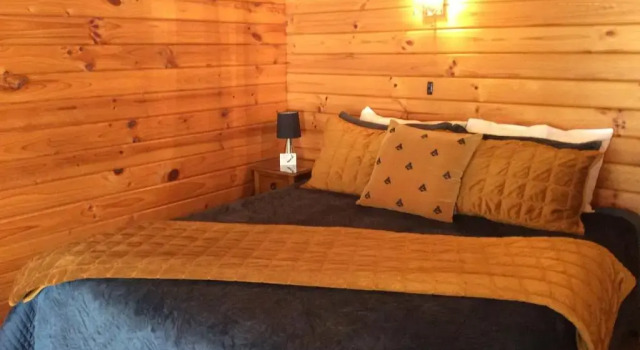 Люкс Alpine Lodge Motel