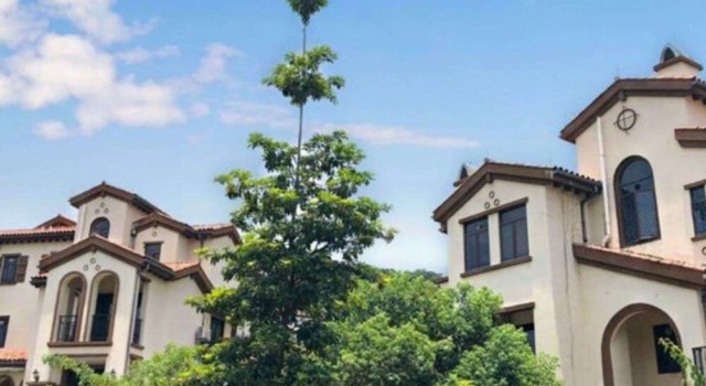 Nankun Mountain Resort Villa No.1, Rezerwuj Ośrodek wypoczynkowy Hotele resortowe w Guangdong, Ośrodek wypoczynkowy