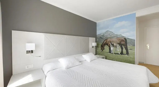 Standard room Hotel Loiola
