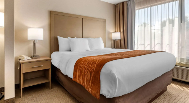 Двухместный люкс Comfort Inn & Suites Farmington - Victor